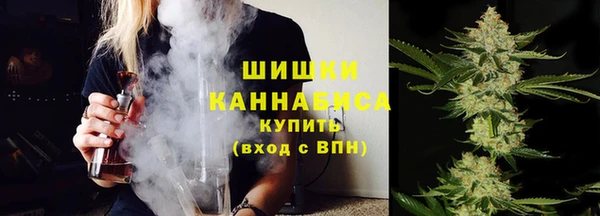 шишки Алексеевка