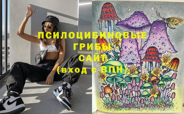 шишки Алексеевка