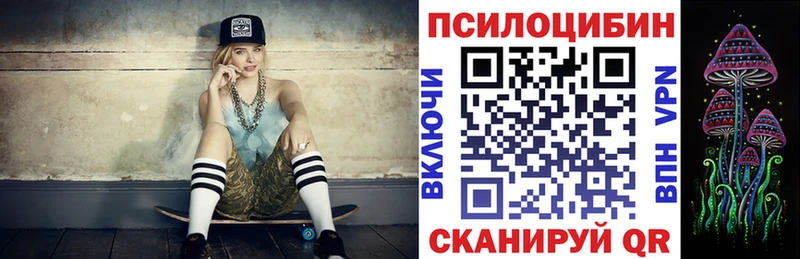 Псилоцибиновые грибы Cubensis  мега зеркало  Электрогорск 
