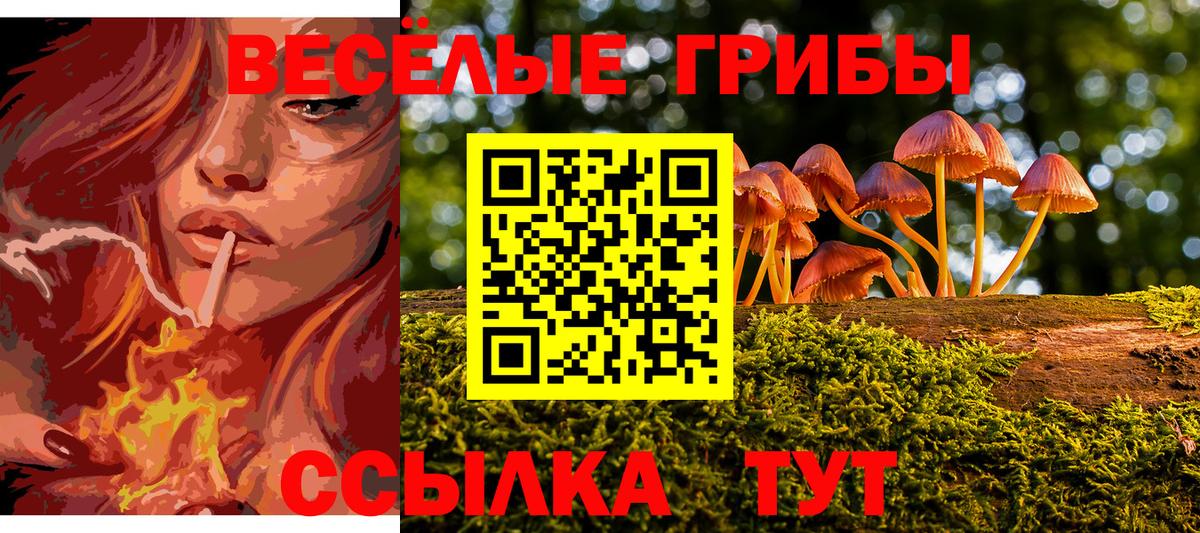 Псилоцибиновые грибы прущие грибы Электрогорск