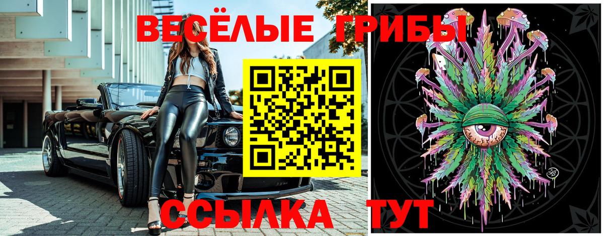 Электрогорск  Галлюциногенные грибы мухоморы  наркошоп  Вход с VPN 