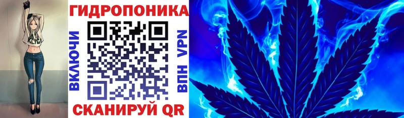 блэк спрут зеркало  купить  сайты  Электрогорск  Конопля LSD WEED 