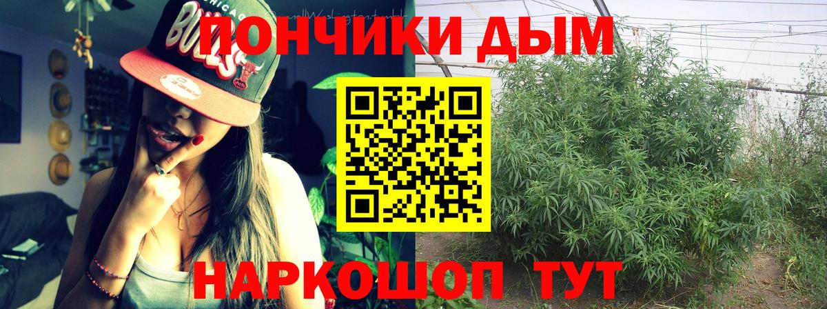 Шишки марихуана конопля  Конопля сатива  Электрогорск  Вход с VPN  МАРИХУАНА сатива 